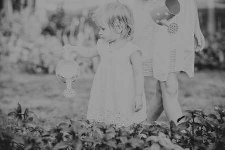 two sisters are some of the beautiful flowers with a watering canの写真素材