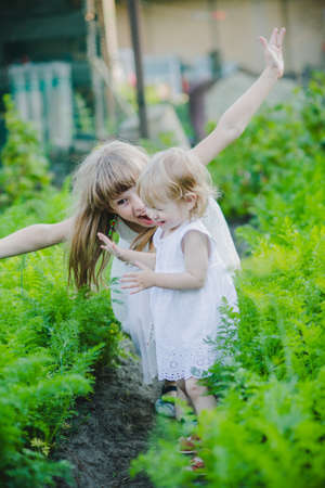 two sisters play summer in the gardenの写真素材