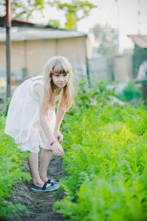 beautiful little girl standing with a watering can in the gardenの写真素材