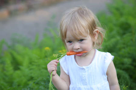 Little baby girl standing among beautiful violent flowers, summer portraitの写真素材