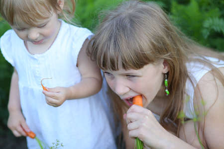 two sisters play summer in the garden and eat carrotsの写真素材