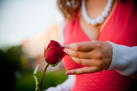 Engagement ring on a red roseの写真素材