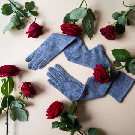 gloves assorted colors longの写真素材