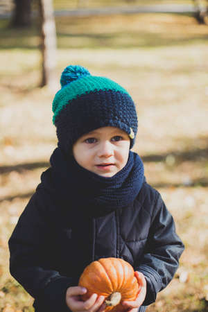little baby boy in autumn Park with pumpkin, friends playing in the Parkの写真素材