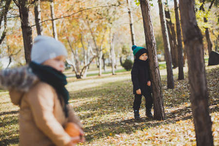 little baby boy in autumn Park with pumpkin, friends playing in the Parkの写真素材