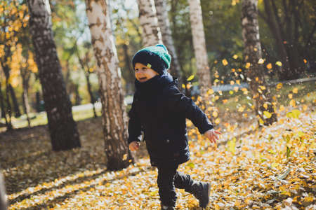 a little boy playing in autumn forest, collecting leavesの写真素材