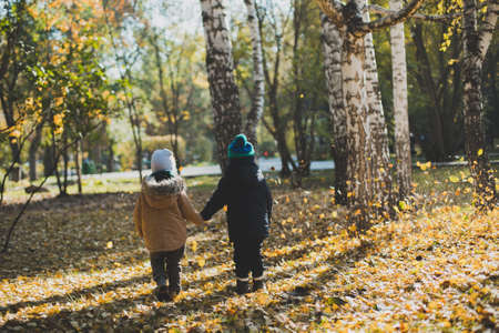 two baby boy playing in autumn Park,run and jumpの写真素材