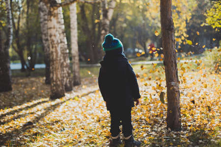 a little boy playing in autumn forest, collecting leavesの写真素材