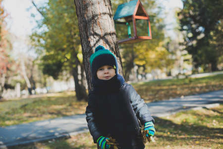 a little boy playing in autumn forest, collecting leavesの写真素材
