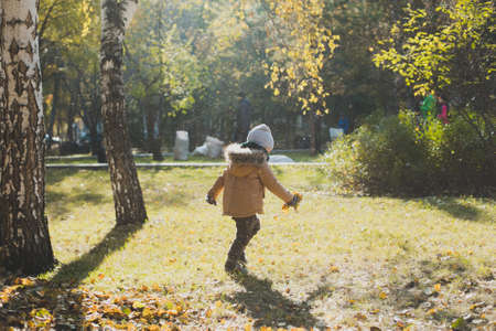 a little boy playing in autumn forest, collecting leavesの写真素材