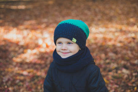 a little boy playing in autumn forest, collecting leavesの写真素材