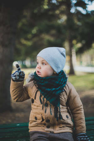 a little boy playing in autumn forest, collecting leavesの写真素材