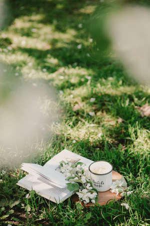 Novosibirsk city, 05/12/2020. Breakfast in the garden. Black tea, candy hearts and flowers on a wooden tray. Romantic concept.のeditorial素材