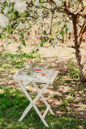 Novosibirsk city, 05/12/2020. composition with a cup of tea with a plaid and a book on a chair on a background of wood. breakfast in natureのeditorial素材