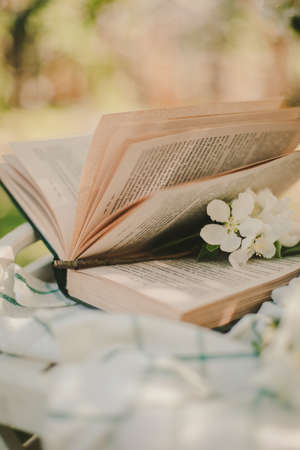 Novosibirsk city, 05/12/2020. composition with a cup of tea with a plaid and a book on a chair on a background of wood. breakfast in natureのeditorial素材