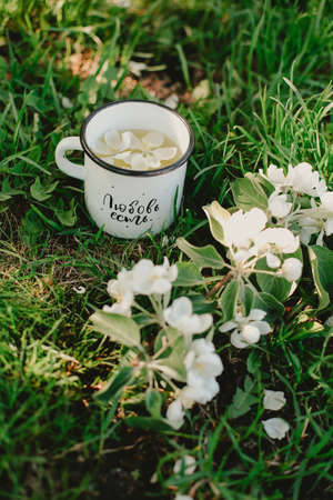 Novosibirsk city, 05/12/2020. Breakfast in the garden. Black tea, candy hearts and flowers on a wooden tray. Romantic conceptのeditorial素材