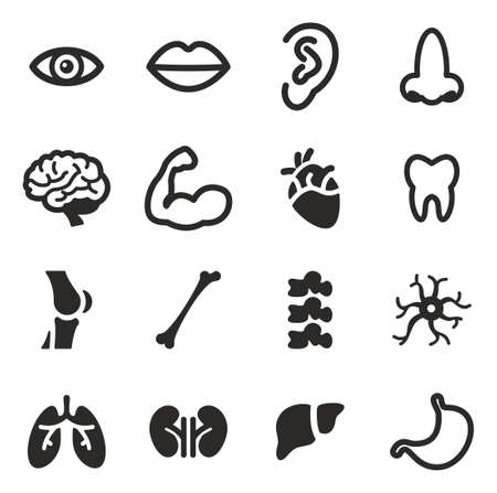 Human Anatomy Iconsのイラスト素材