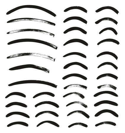 Calligraphy Paint Thin Brush Lines Curved High Detail Abstract Vector Backgroundのイラスト素材