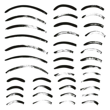 Calligraphy Paint Thin Brush Lines Curved High Detail Abstract Vector Backgroundのイラスト素材