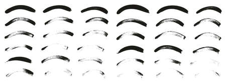 Calligraphy Paint Thin Brush Lines Curved High Detail Abstract Vector Backgroundのイラスト素材