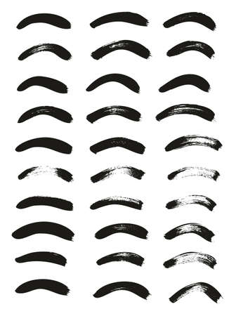 Calligraphy Paint Thin Brush Lines Curved High Detail Abstract Vector Backgroundのイラスト素材