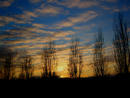 Background and wallpaper in high quality fine art prints productsの写真素材