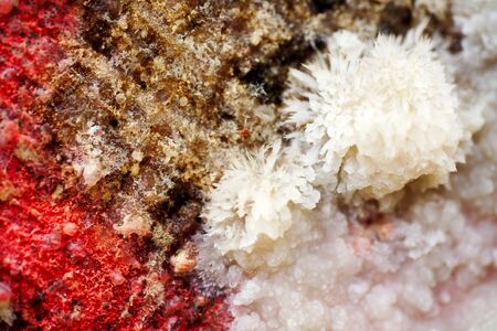 Wood abstract macro background fine art in high quality prints products fifty megapixels prints