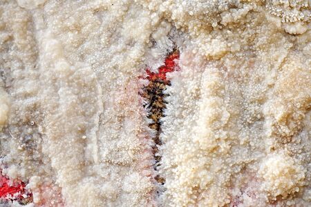 Wood abstract macro background fine art in high quality prints products fifty megapixels prints