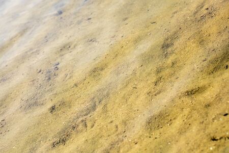 Lake Brombachsee with amazing wild forest and summer camping tends holidays background fine art high quality prints products fifty megapixels Absbergの写真素材