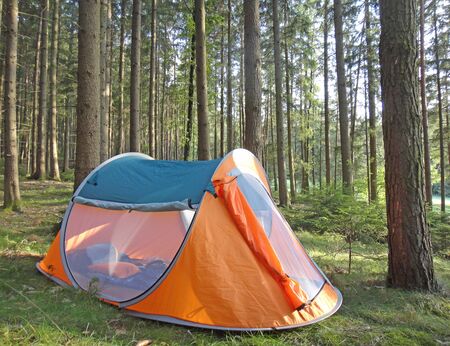 Two seconds camping tent in wold forest background fine art high quality prints productsの写真素材