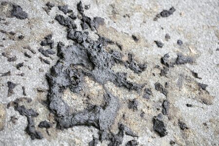 Horse shit abstract macro background fine art in high quality prints products