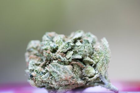 Skunk bud cannabis super lemon haze fifty megapixels medical stuff high quality prints