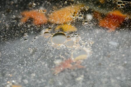 Colorful bubbles macro background fifty megapixels high quality