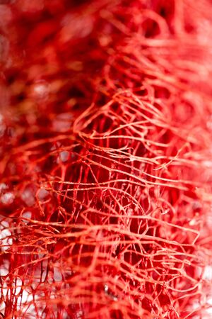 Red flower strange tropical blossom fruit macro background fifty megapixelsの写真素材