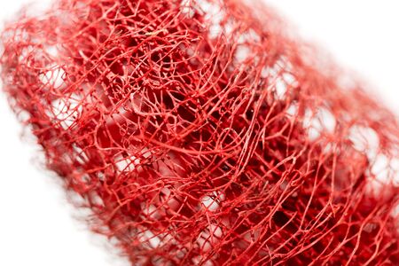 Red flower strange tropical blossom fruit macro background fifty megapixelsの写真素材