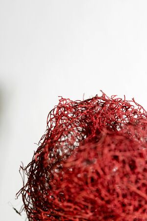 Red flower strange tropical blossom fruit macro background fifty megapixelsの写真素材