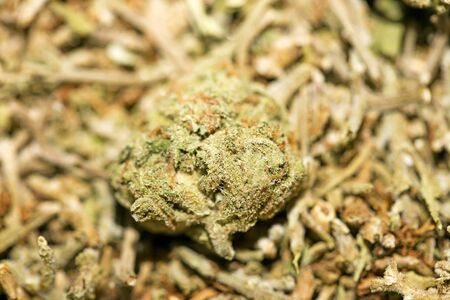 Marihuana macro super lemon haze background fifty megapixels