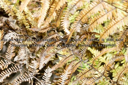 Text quote be an artist with flower leafs background fifty megapixels