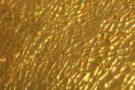 Cracked golden paint on canvas macro background high quality fifty megapixelsの写真素材