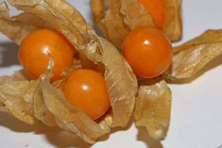 Physalis fruit macro background high quality modern prints solanaceae familyの写真素材