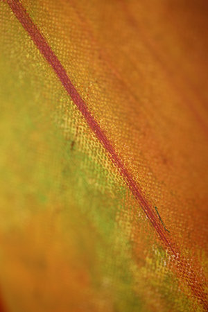 Colorful acrylic paint on canvas art attack close up modern high quality prints.