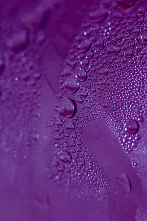 Water droplets macro beside the glass surface close up liquid drops modern background pattern high quality printsの写真素材