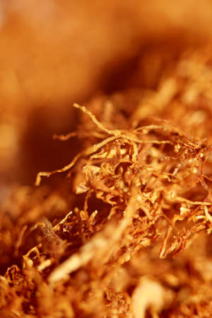 Rolling smoking tobacco cutted leaves macro modern background stock photography high quality prints