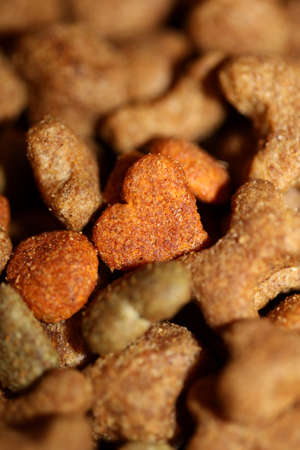 Dog dry healthy food from purina close up background high quality big size print