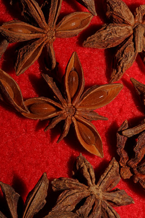 Brown fruit close up botanical background Illicium verum family schisandraceae star anise with seeds high quality big size printsの写真素材