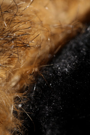 Artificial brown winter jacket hairs close up background stock photography high quality big size printsの写真素材