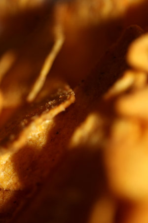 Homemade tortilla spicy chips made with flat bread and baked in oven close up macro background big size high quality instant eating printの写真素材