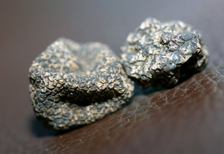 Wild fresh black winter truffle mushrooms close up background big size tuber instant prints botanical stock photographyの写真素材