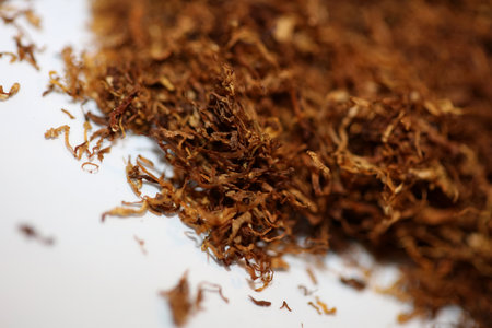 Rolling tobacco leaves lucky strike macro background stock photography high quality dried chopped premium smoking instant printsの写真素材