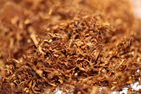 Rolling tobacco leaves lucky strike macro background stock photography high quality dried chopped premium smoking instant printsの写真素材